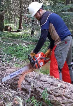 Todd uses the chainsaw, Behind: Leif gives instruction to Todd