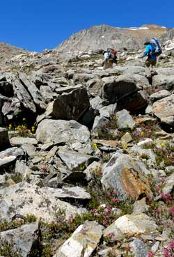 More switchbacks to reach the Pinchot Pass summit