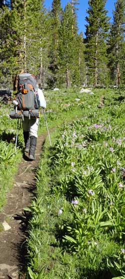 It's not ALL rocks, Behind:Ascending to Mather Pass