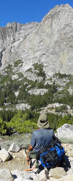 View into the King River Valley, Behind: we were all amazed at this old, old, Pinion Pine