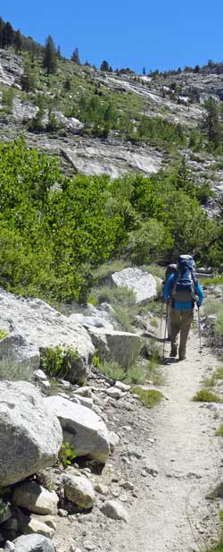 We continue to climb toward Bishop Pass, Behind: another bridge over a stream falling toward the King River