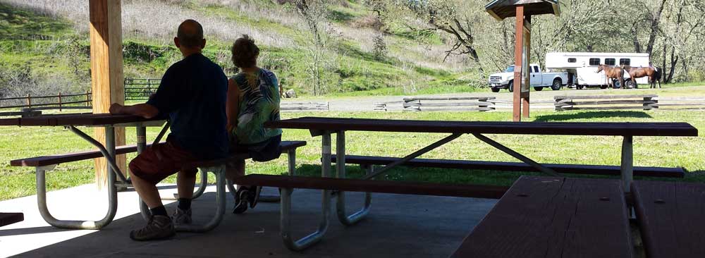 Enjoying a picnic at Comstock Park