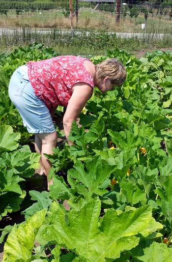 Gwen gets fresh vegetables