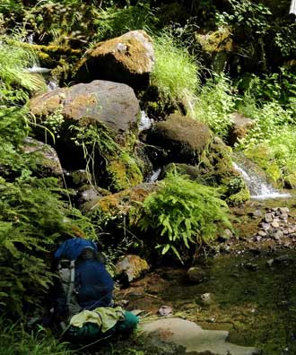 A lot of water coming from the side of the river, behind: typical Oregon hiking