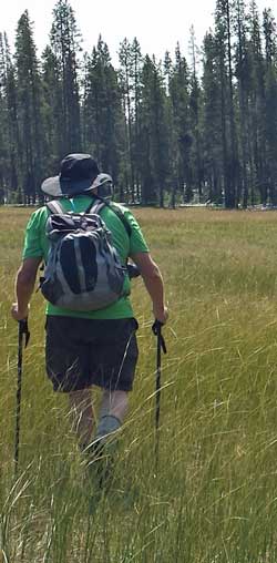 Richard is exploring a meadow along the route