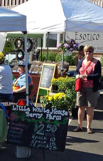 Saturday farmer's market, Behind: panorama of the farmer's market