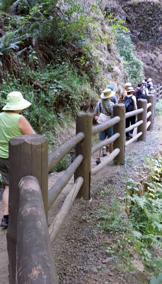 Hiking in Silver Falls State Park