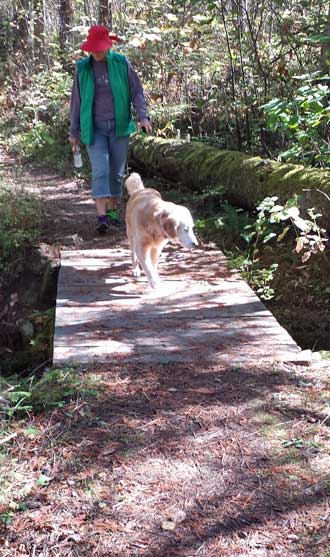 Hiking along the Lochsa River following the Lewis and Clark route, Idaho