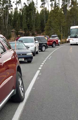 Traffic stopped to view a grizzly, Behind: grizzly at a distance, need Richard or Lane's camera to get THIS photo.