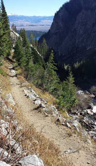 Hiking toward the source of the water I hear coming down the canyon