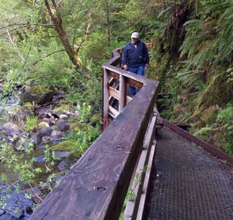 Gary on the catwalk, Sweet Creek Trail