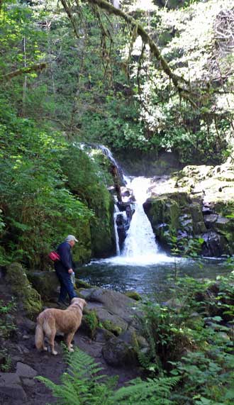 Gary, at Sweet Creek Falls