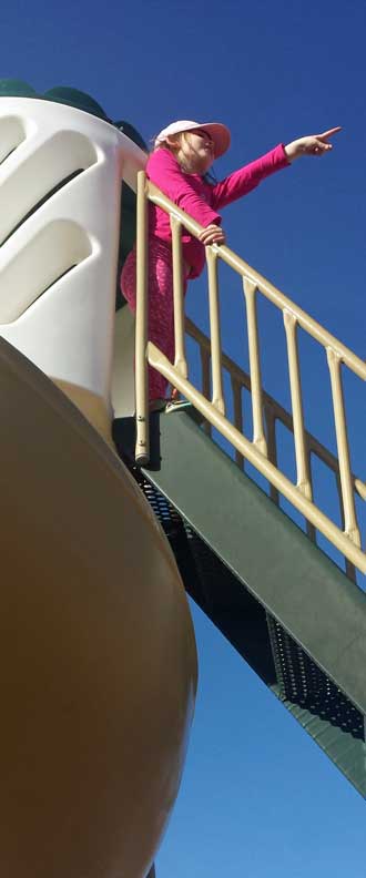 Chloe likes climbing the slide for the view of the horses