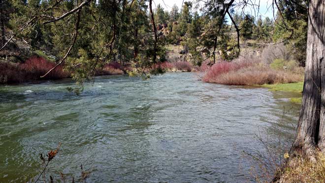 Descutes River in Tumalo State Park