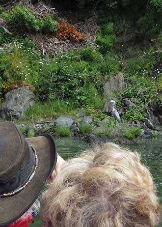 Wildlife and fishermen were the views along the river.