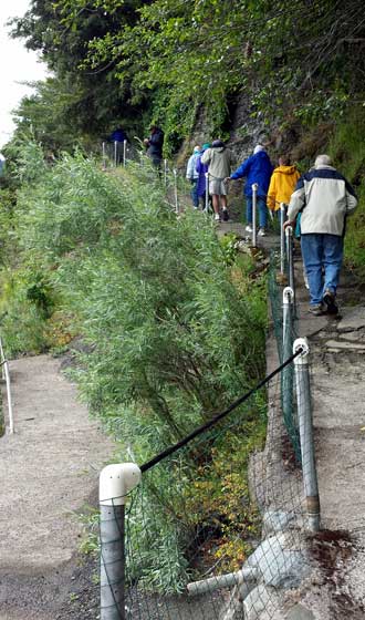 Climbing to lunch