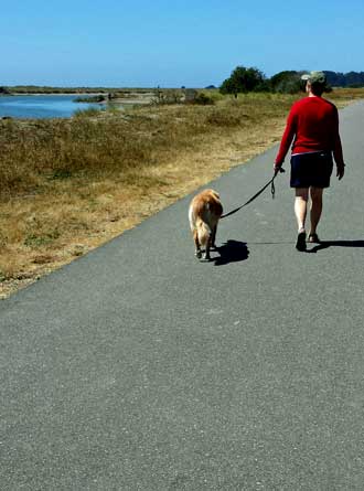 Walking on the Eureka Marine Trail