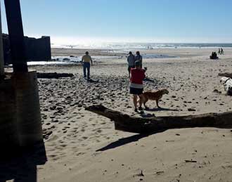 The beach at Lincoln City