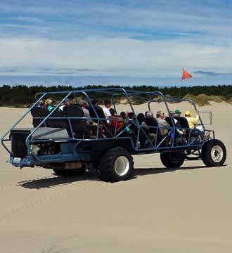 At the top of a dune