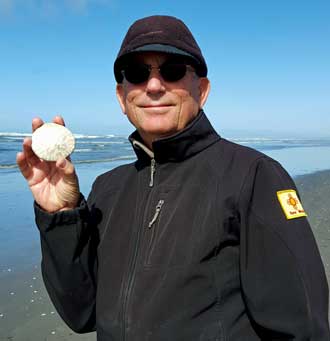 Searching for sand dollars on the beach near Westport