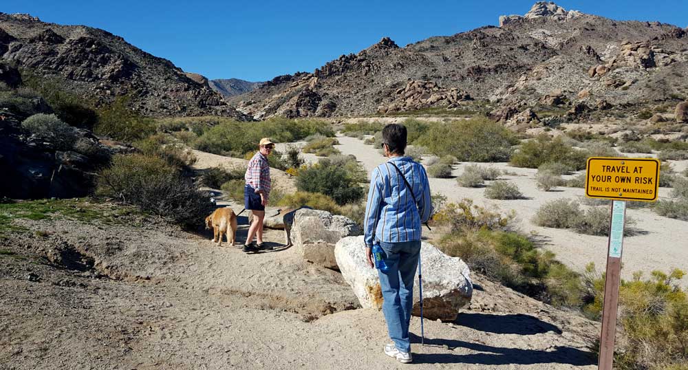 Entering Grapevine Canyon