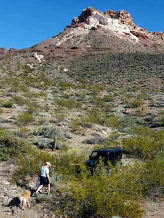 Lunch in the desert