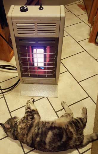 Annie is the first to appreciate the new heat