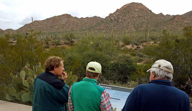 Gary and Jeanne join Gwen and I on a drive through the Saguaro National Park