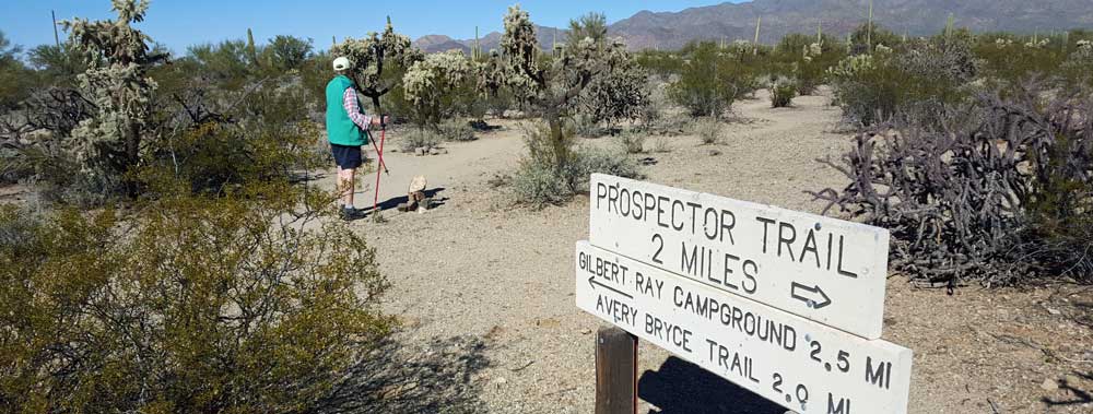 Hiking into the Tucson Mountain Park and the Sonoran Desert