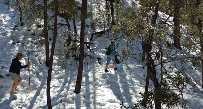 Hiking the Bug Spring Trail