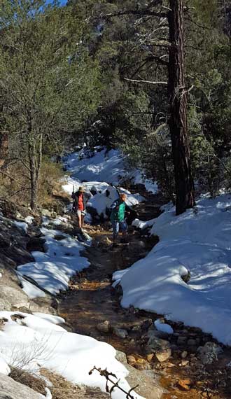 The girls learn to navigate the stream without getting wet