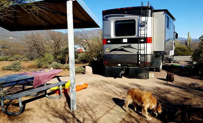 Cholla Campground at Roosevelt Lake