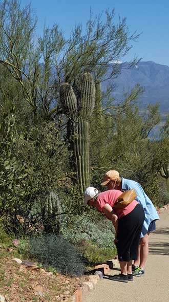 Our second hike at the Tonto Monument