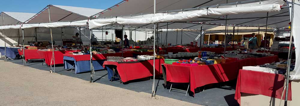 Gwen shopping at her favorite kitchen store in Quartzsite