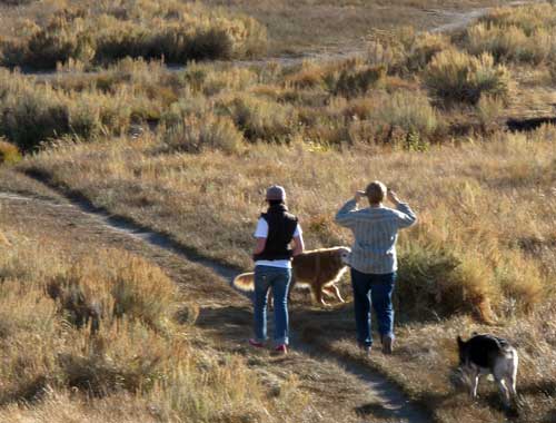 Matis Creek Wildlife Area