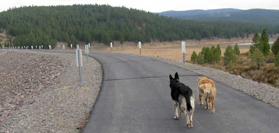 Morgan and Gunnar on the dam