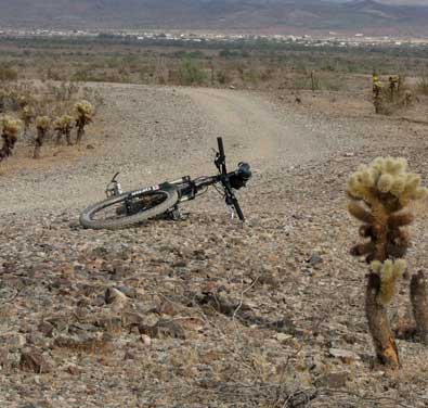 Mountain biking in the desert