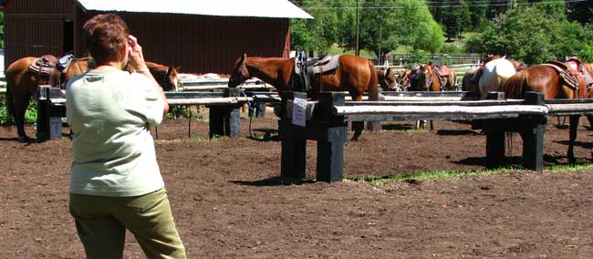 Doris likes horses