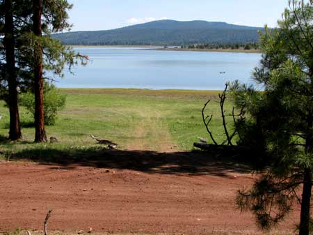 Entrance to beach area