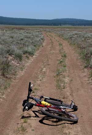 More mountain biking than you can imagine