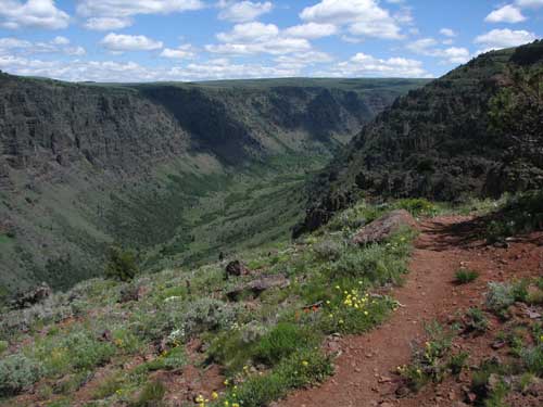 Little Blitzen Canyon