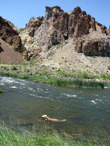 Morgan's first view of the Owyhee River, not the arch in the rock above Morgan