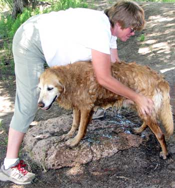 Morgan gets a bath in river water