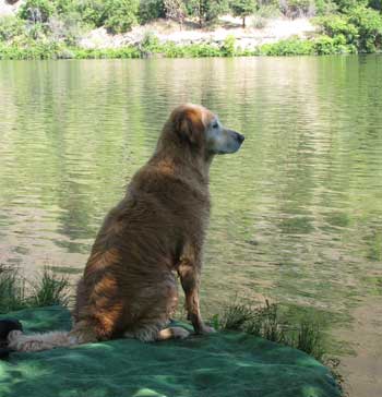 Morgan watches for jumping fish