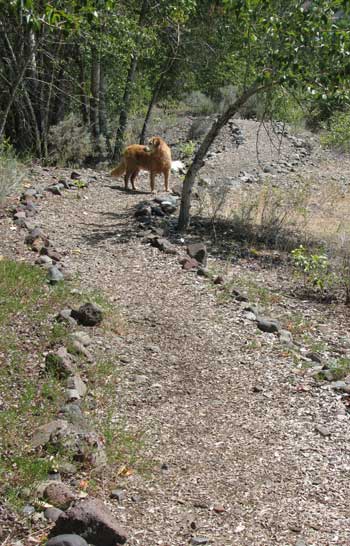 Morgan on the Bob Miles Memorial Trail