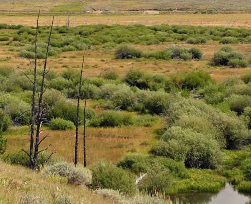 Staging area for Col. Gibbon's men, tipis in the distance