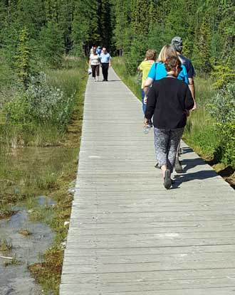 The wood walkway to the Liard Hot Spring
