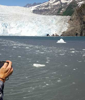 Aialik Glacier up close