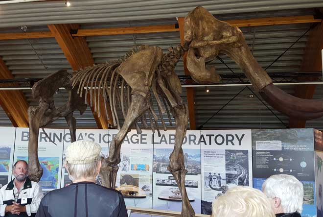 We visit the Beringia Museum and education story