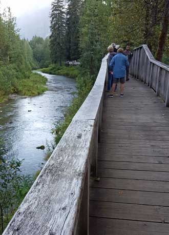 Looking for bears at Fish Creek but finding only dead and dying fish and the Hyder, Alaska post office